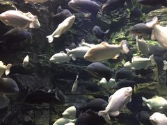 -成都浩海立方海洋公园