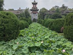 -四川大学(华西校区)