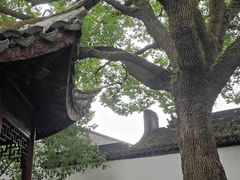-上海醉白池公园