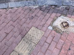 -喝丢一只鞋海鲜烧烤·海肠捞饭(东关街店)