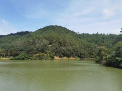 -广州白江湖森林公园