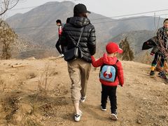 -紫光园(顺义店)