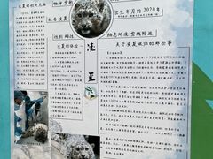 -青藏高原野生动物园