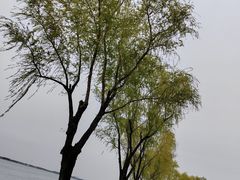 -阳澄湖半岛旅游度假区