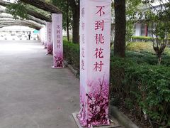 -南汇桃花村