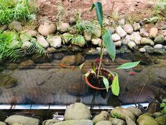 -第五季龙水凤港生态露营农场