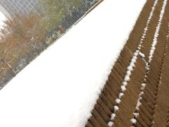 -唐城墙遗址公园
