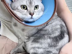 -美美宠物诊疗中心·异宠·骨科(滨江东信分院)