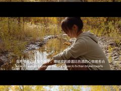 -金塔沙漠胡杨林景区