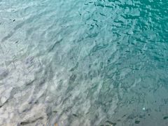 -叠溪松坪沟景区