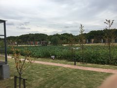 -上海怡沁园度假酒店