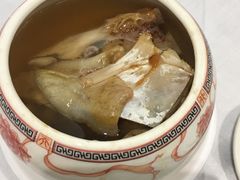 川弓炖娃鱼汤-稻香酒家·35年老字号(侨光店)