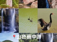 -广州白江湖森林公园