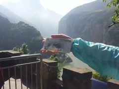 -白帝城·瞿塘峡景区