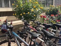 -北京邮电大学