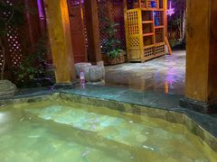 -汉拿山温泉度假酒店