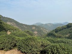 -西湖风景区十里琅珰-五云山