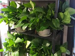 -李叔叔虾蟹大排档(青羊店)