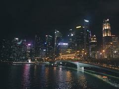 -新加坡丽思卡尔顿美年酒店