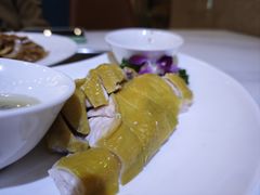 清远白切鸡-唐乐宫·小厨餐厅