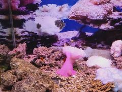 -泉州海丝野生动物世界