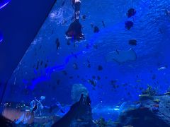 -石家庄极地海洋世界
