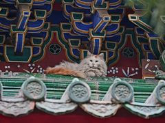 -北京市劳动人民文化宫(太庙)