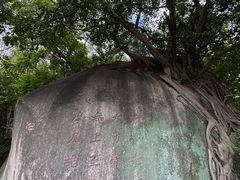 -草庵摩尼教遗址公园