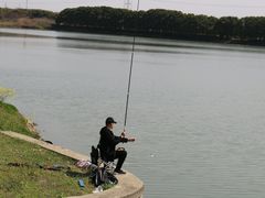 -漕湖湿地公园
