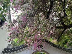 -深圳国际园林花卉博览园