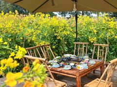 -中国天府农业博览园