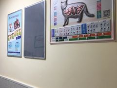 -谐和贝康宠物医院24小时·宠保定点(急重症转诊中心)