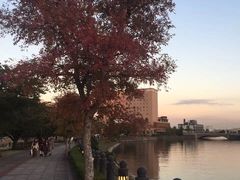 -帆船日本丸