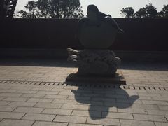 -广东惠东海龟国家级自然保护区