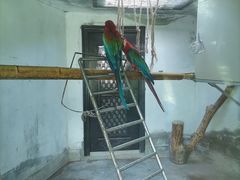 -青藏高原野生动物园