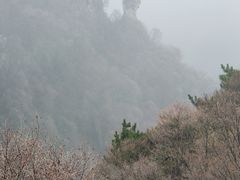 -王莽岭风景区