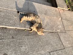 -西南政法大学(渝北校区)