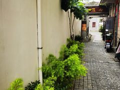 -三林塘老街