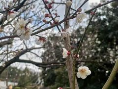 -宜兴龙背山森林公园