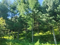 -参仙谷生态旅游度假区