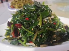 -照金特色农家乐