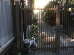 -灌篮高手动画打卡地