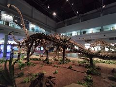 -自贡恐龙博物馆