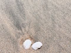 -盐洲岛