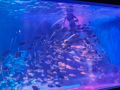 -常州海昌海洋探索馆