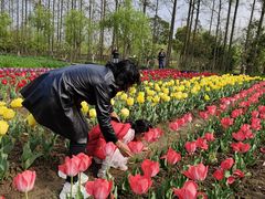-前小桔亲子创意农场·草莓采摘·露营烧烤