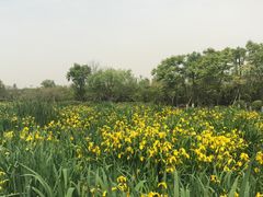 -白鹭湾湿地公园