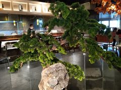 -千和日本料理(龍坪天虹店)