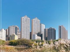 -青城公园