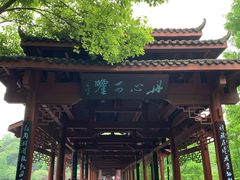 景点-重庆彩云湖湿地公园